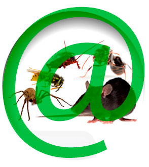 contacto de empresas fumigadoras en Chile